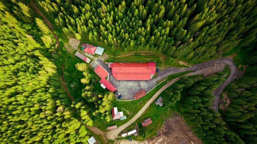 Cabana Cerbul-Oasa-Transalpina Ciban Exterior photo